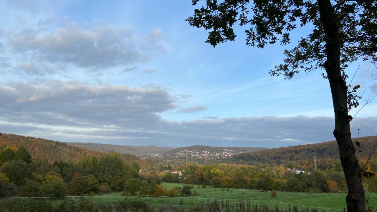 Charaktervolle Whg Mit Parkplatz Naehe Kassel Appartement